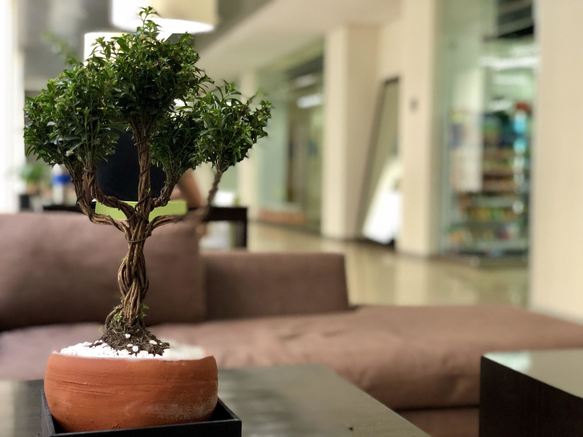 Apartamento Boutique Apartment Pbk Cidade do México